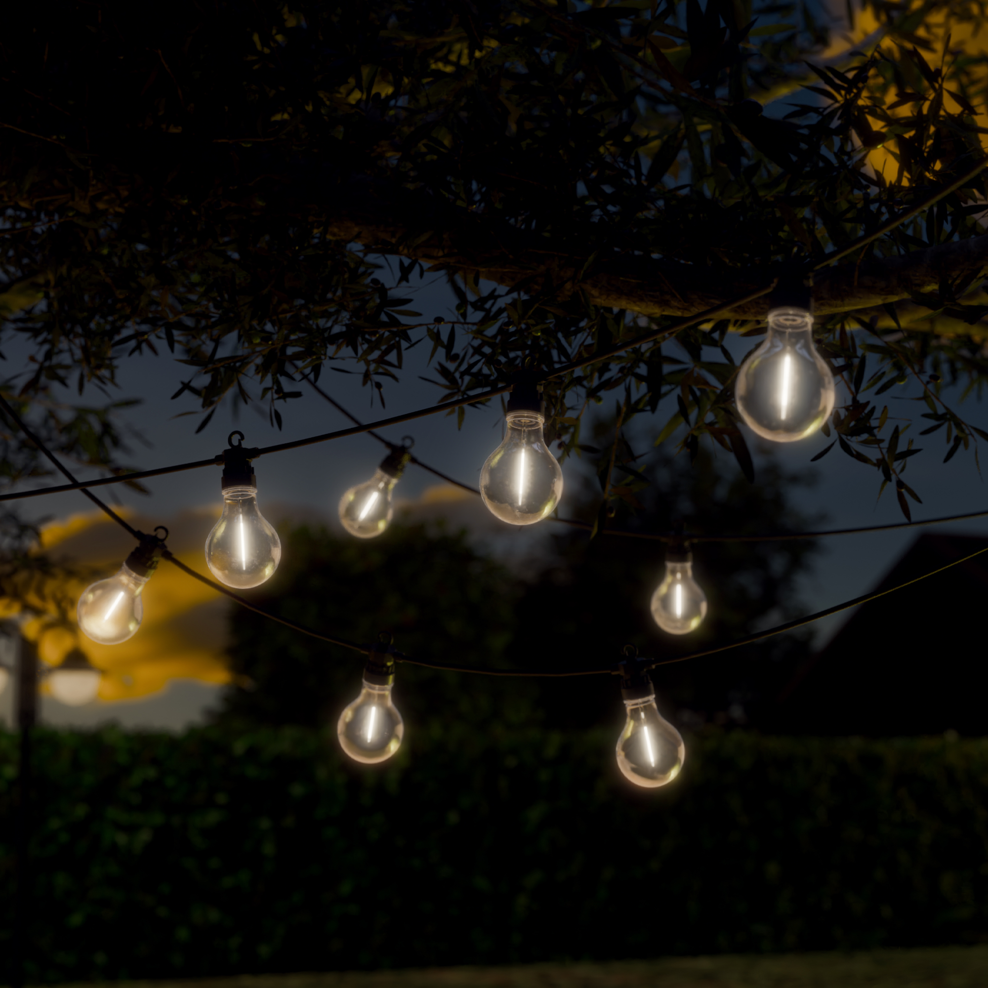 Light chain package